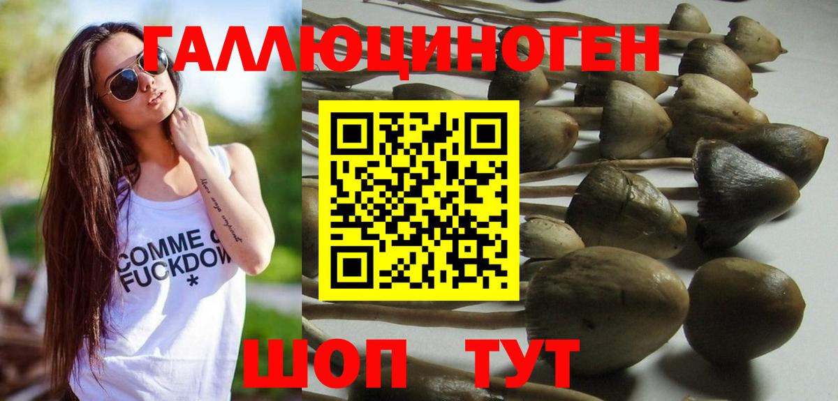 МАРИХУАНА Куйбышев