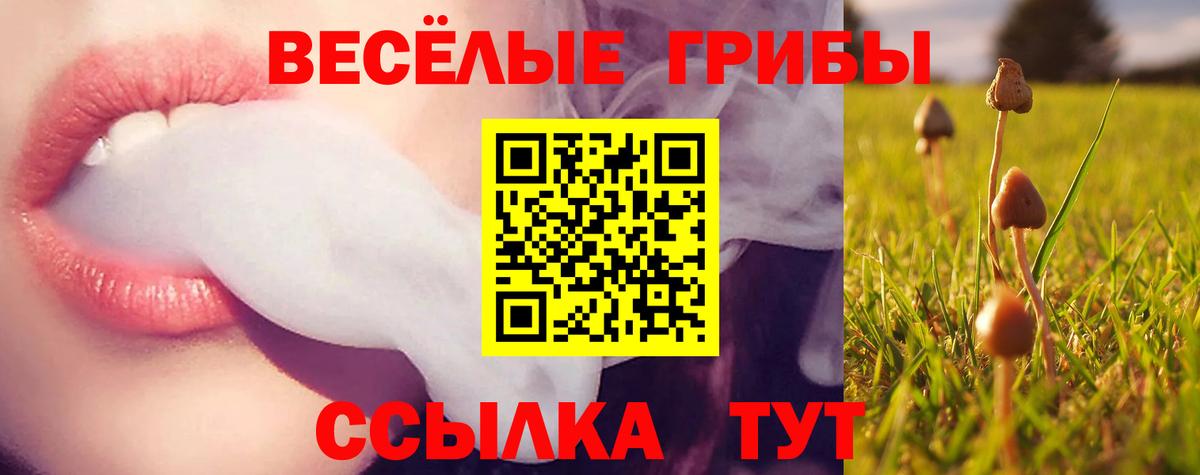 Галлюциногенные грибы ЛСД Куйбышев